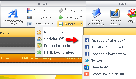 Sociální sítě